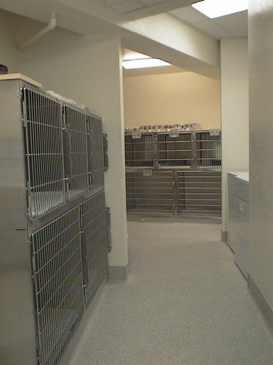 cages.JPG (27781 bytes)