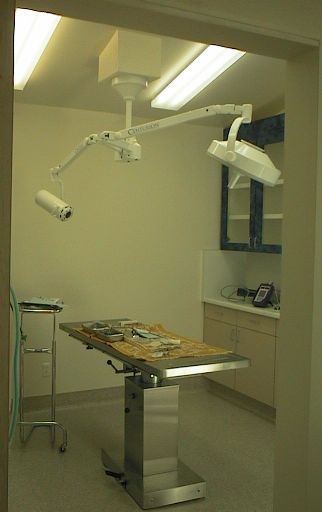 surgery.JPG (20232 bytes)