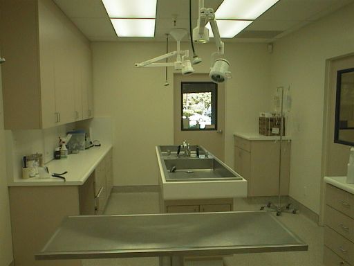 treatment.JPG (23914 bytes)